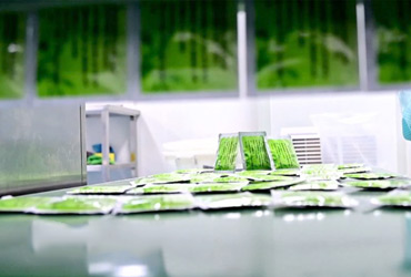 這些藥品正加緊生產(chǎn)配送中