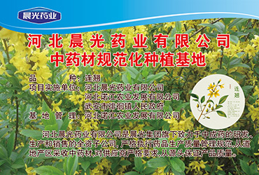 武安市市政府領導蒞臨河北晨光藥業有限公司參觀考察